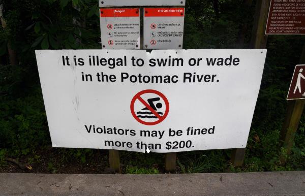 波托马克河可能很快就可以安全游泳了，但仍然容易受到污染的影响