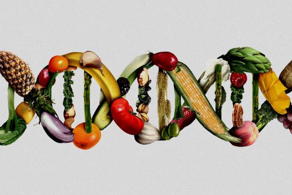 吃素可能部分是由你的基因决定的